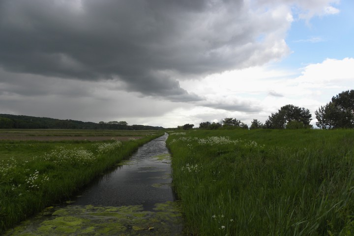 Nadciąga nawałnica