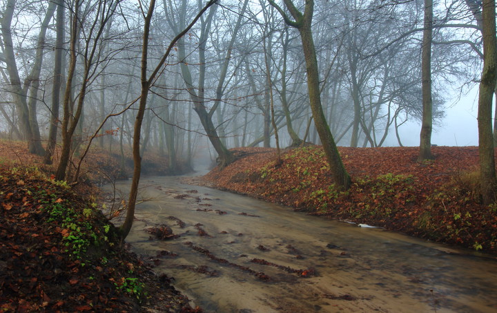 Wejście do Krainy Mgieł