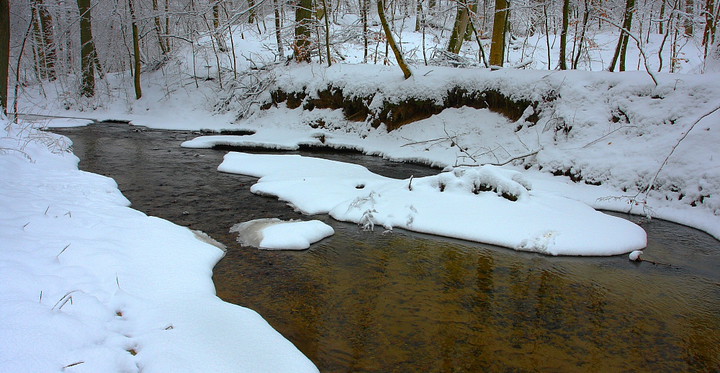 Bażantarnia