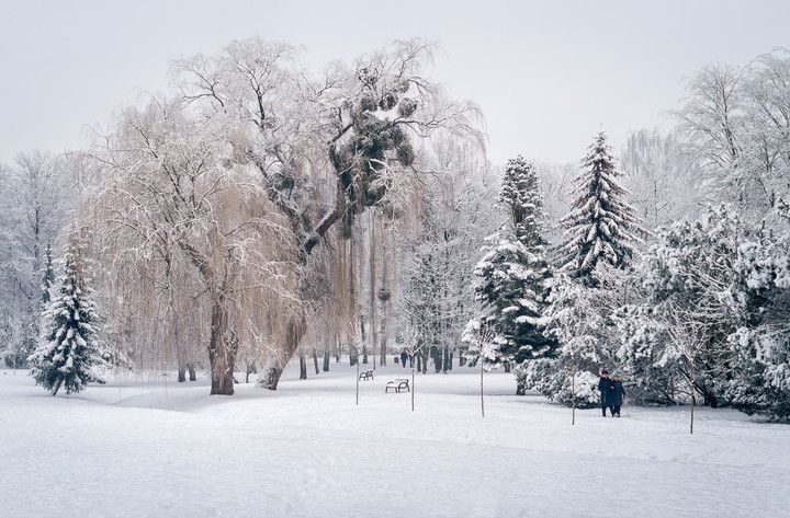 Park Kajki zimą