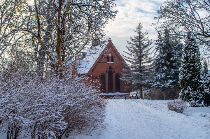 Park zimą