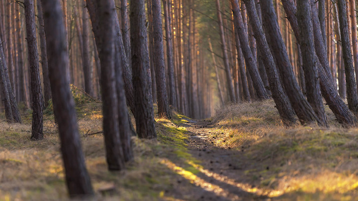 Moja rzeczywistość-pełna dotyku, marzeń i słońca