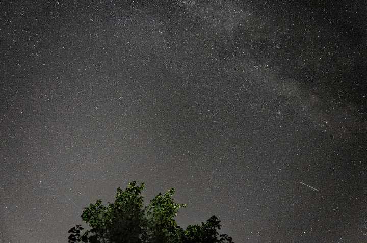 Gwieździście nad drzewem