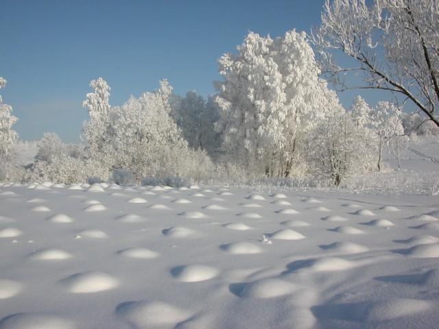 Zima w Bażantarni II (Luty 2004)