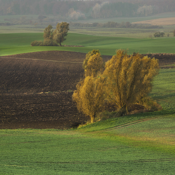 Barwy jesieni