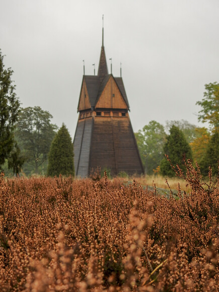 Skandynawski brąz