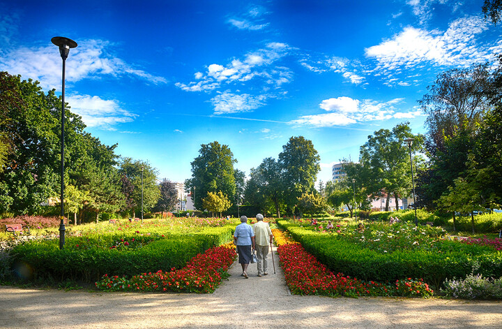 Park różany (w parku Kajki).