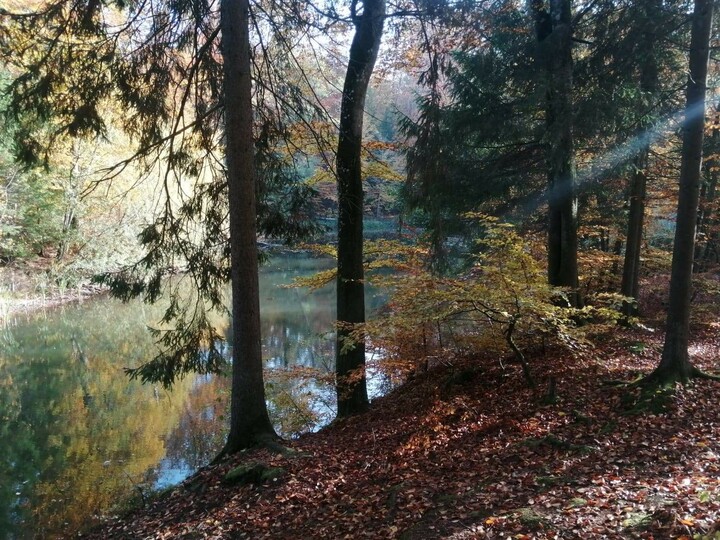 Jelenia Dolina jesienią