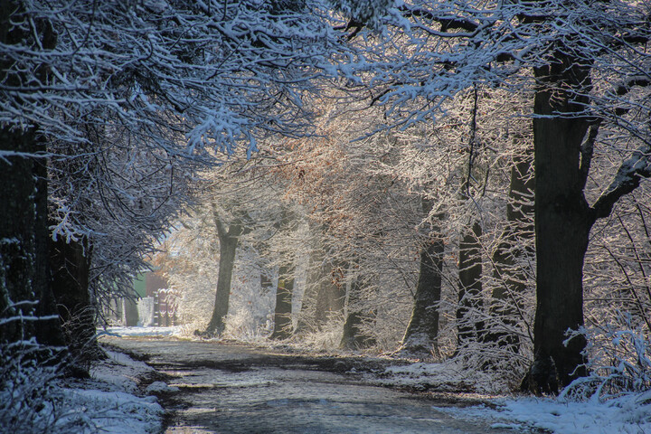 Zimowa pocztówka