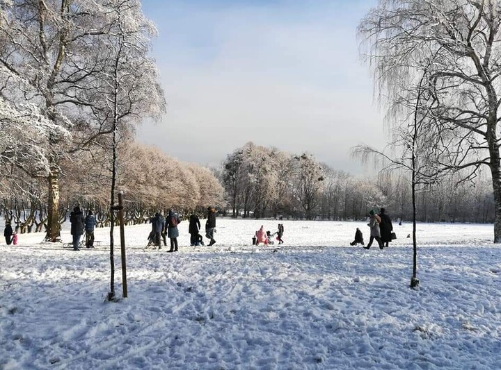 W samo południe. (Styczeń 2021)