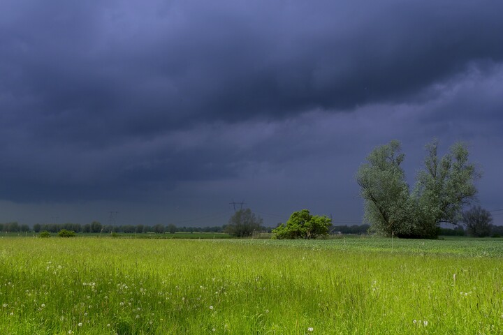 Przed burzą