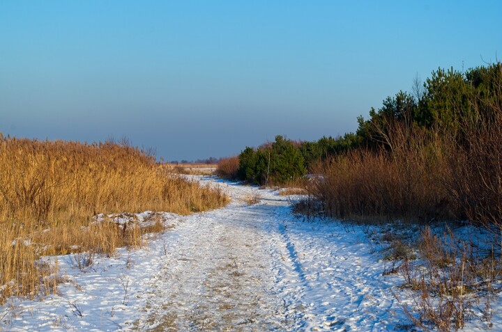 Ścieżka nad Zalewem