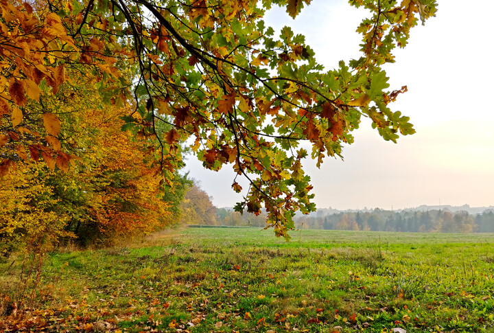 Ciepła jesień