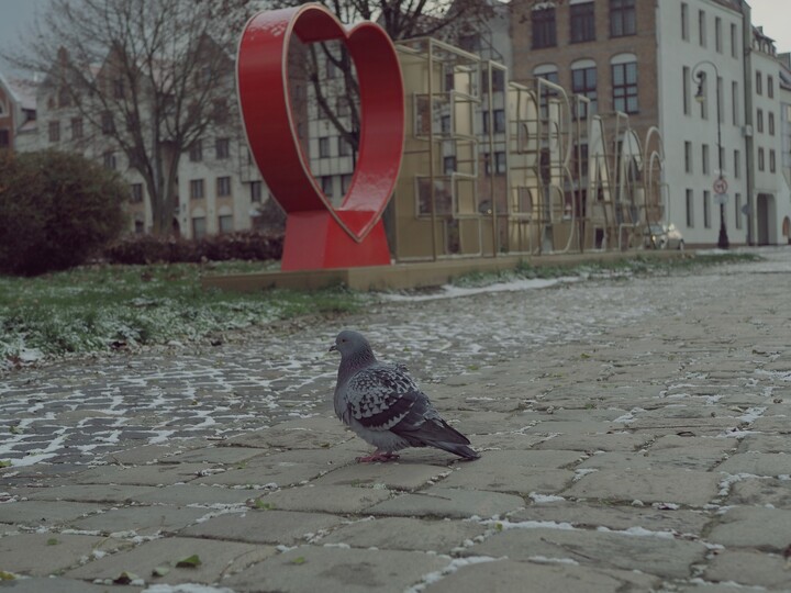 "Tylko zrób tak, żeby ując mnie, napis i kawałek Starówki"