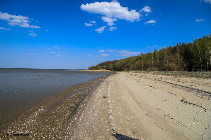 Kierunek Kamień Prusów