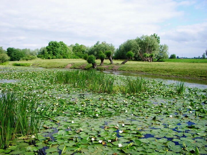 Prawdziwe Żuławy