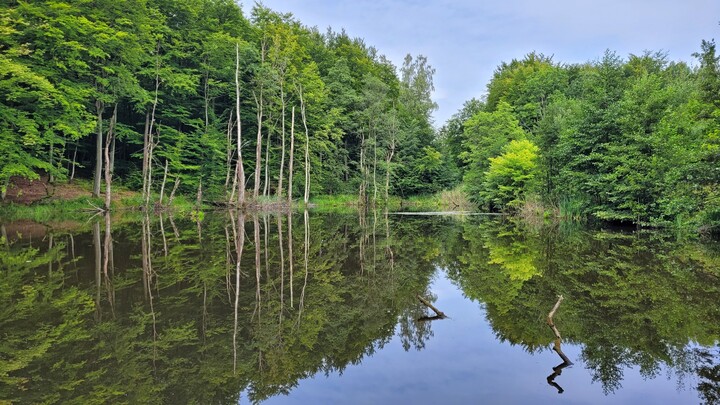 W drodze na Jelenią Dolinę