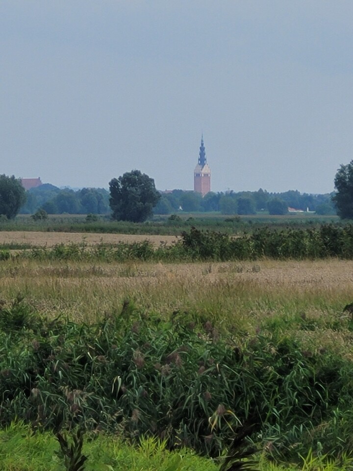 Elbląg. Widok z wysokości Janowa