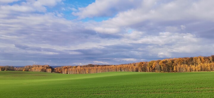 Piękno jesieni