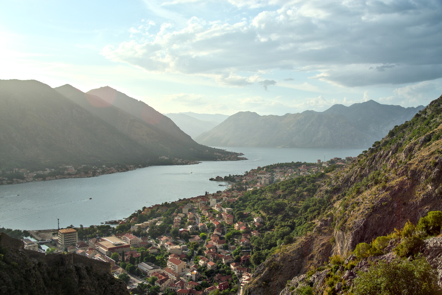 Kotor