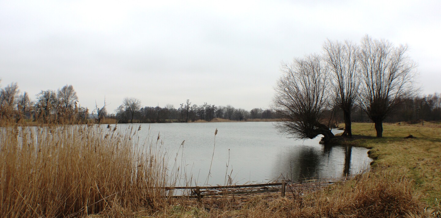 Żuławskie klimaty.