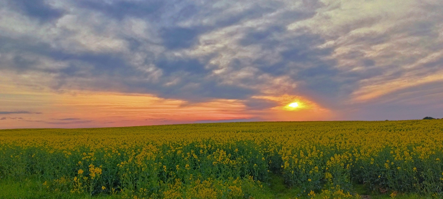 Chodź pomaluj mój świat na żółto i na niebiesko..