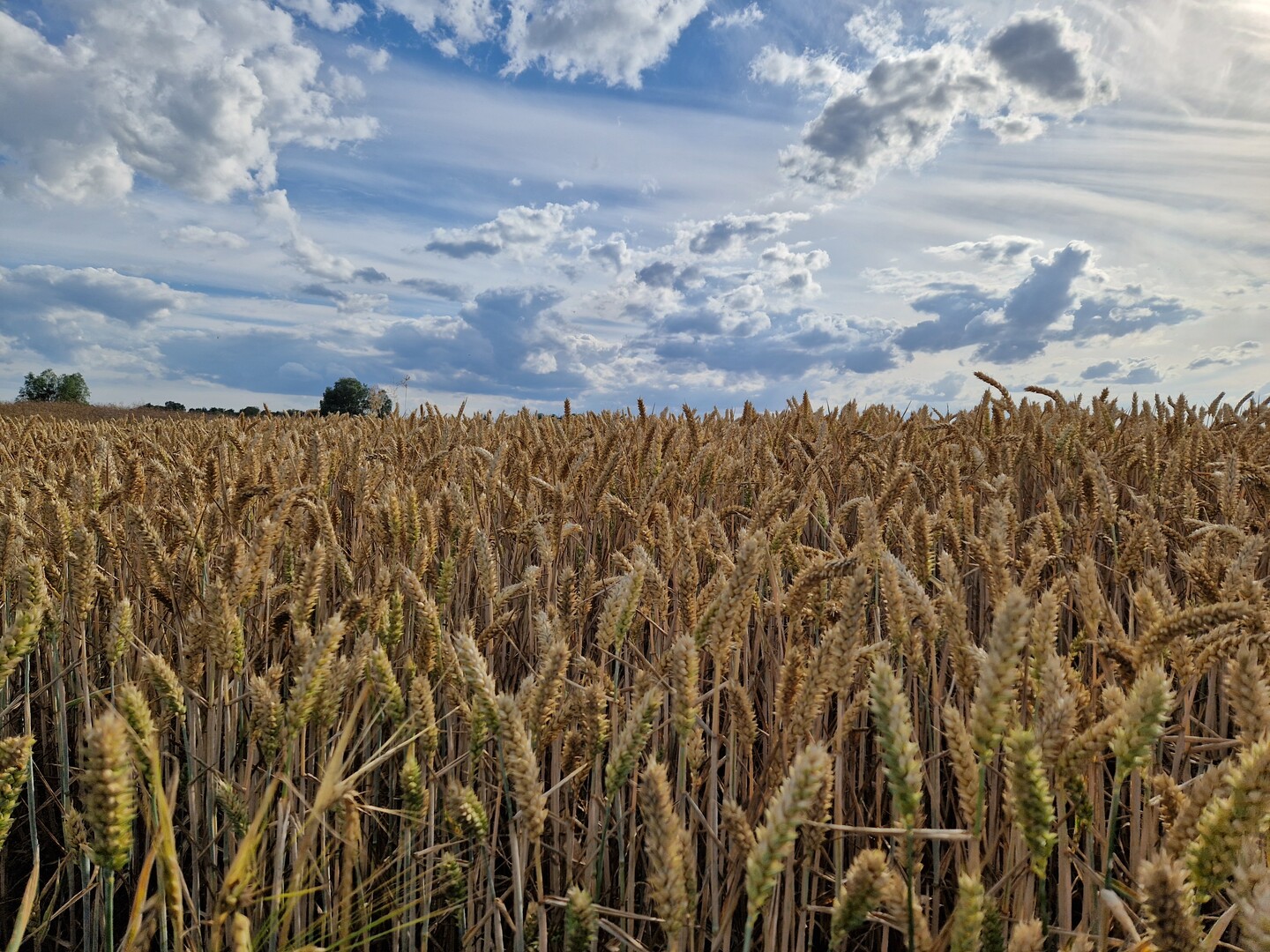 Chodź, zabiorę Cię z dala od zgiełku miasta