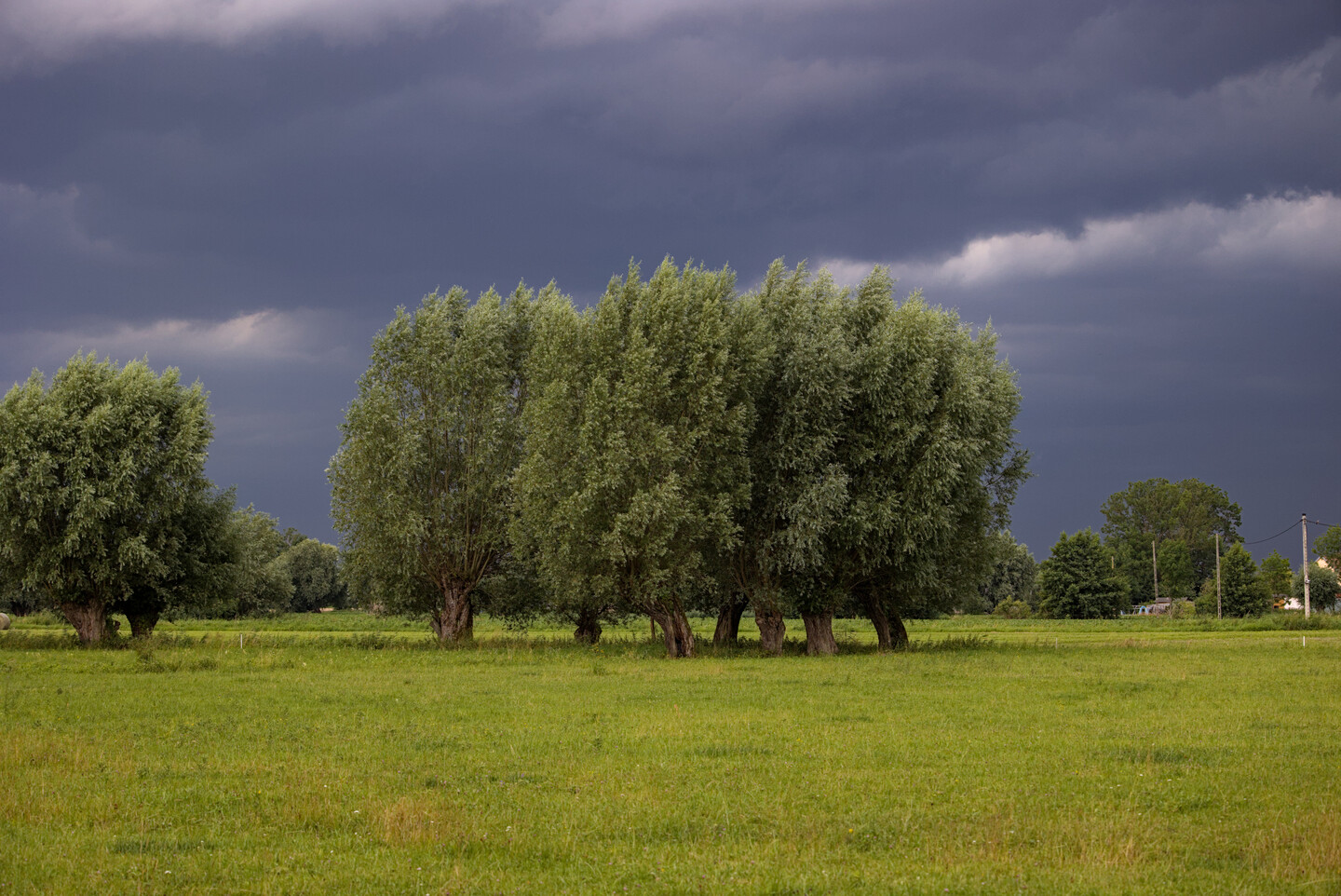 Cisza przed burzą