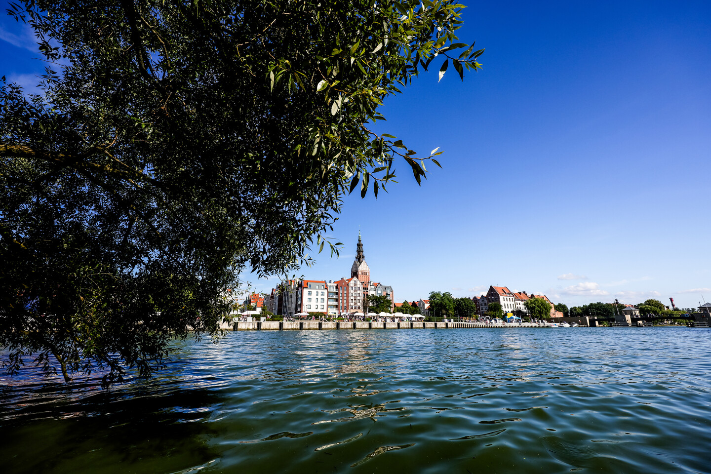 Leżakując na trawie.