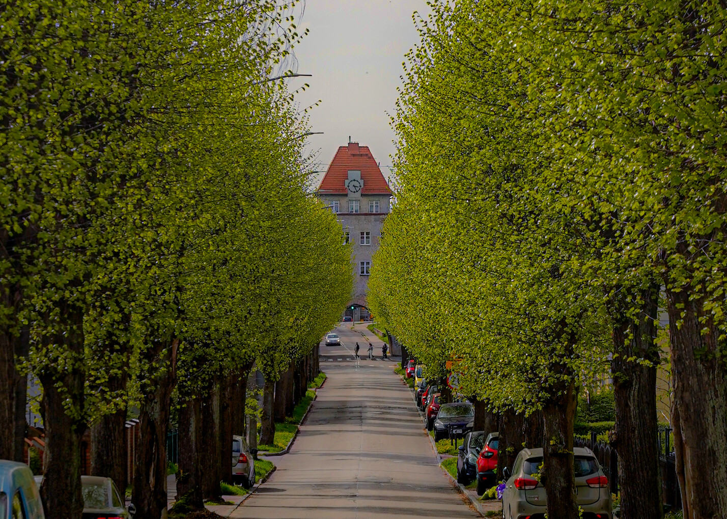 Czas wiosny! (Maj 2025)
