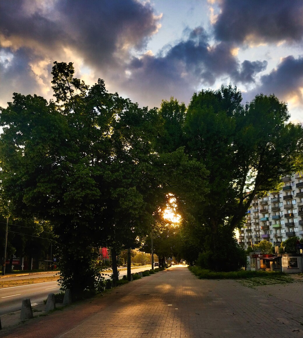 Ulica Grunwaldzka