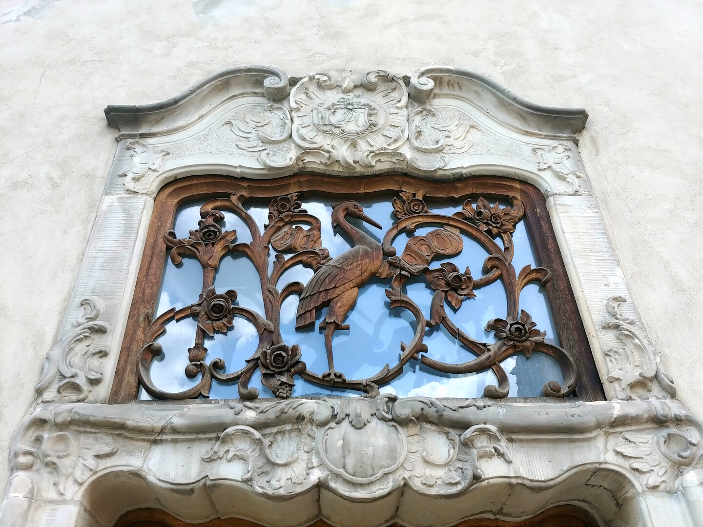 Czapla