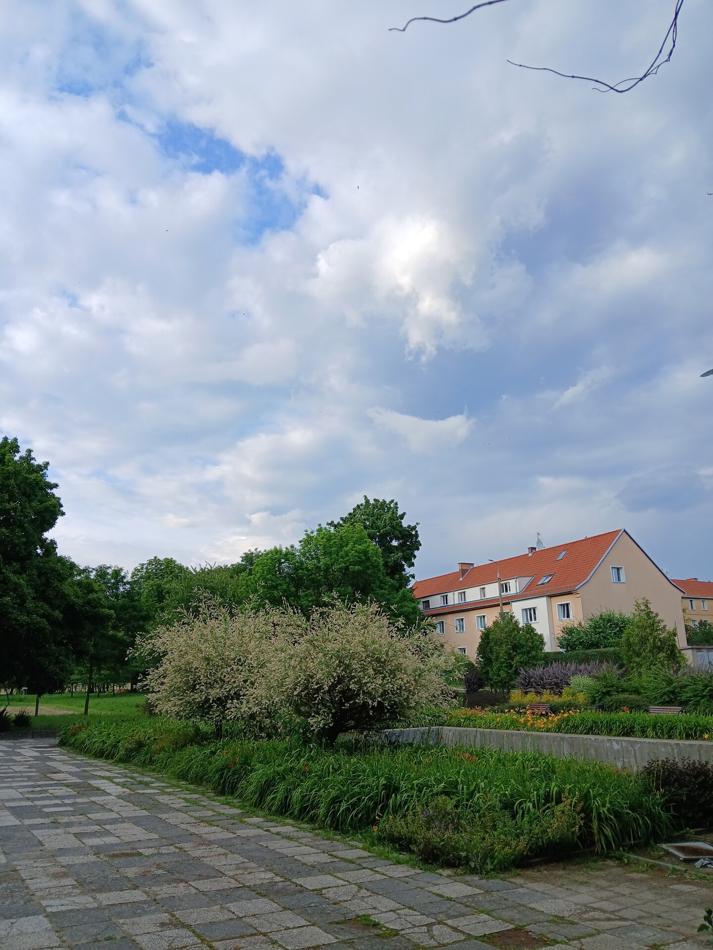 lipiec park kajki