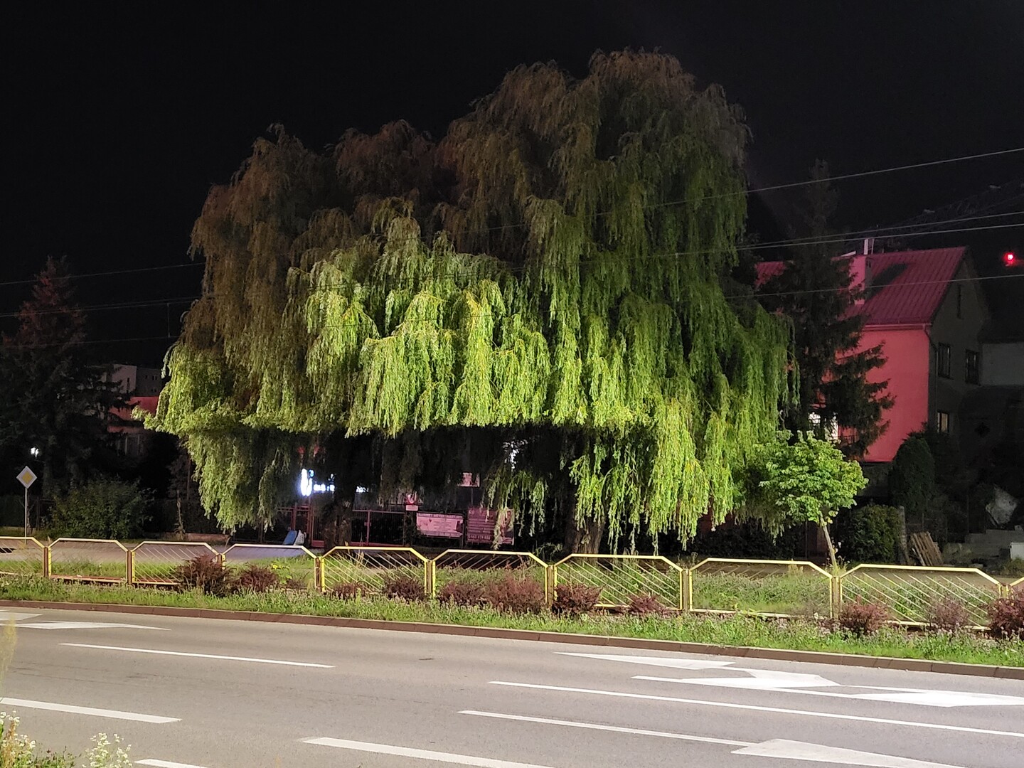 Moda na grzywkę