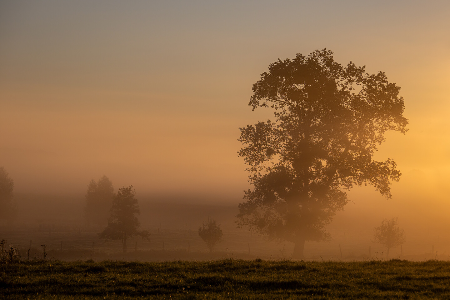 Zanim zbudzi się dzień