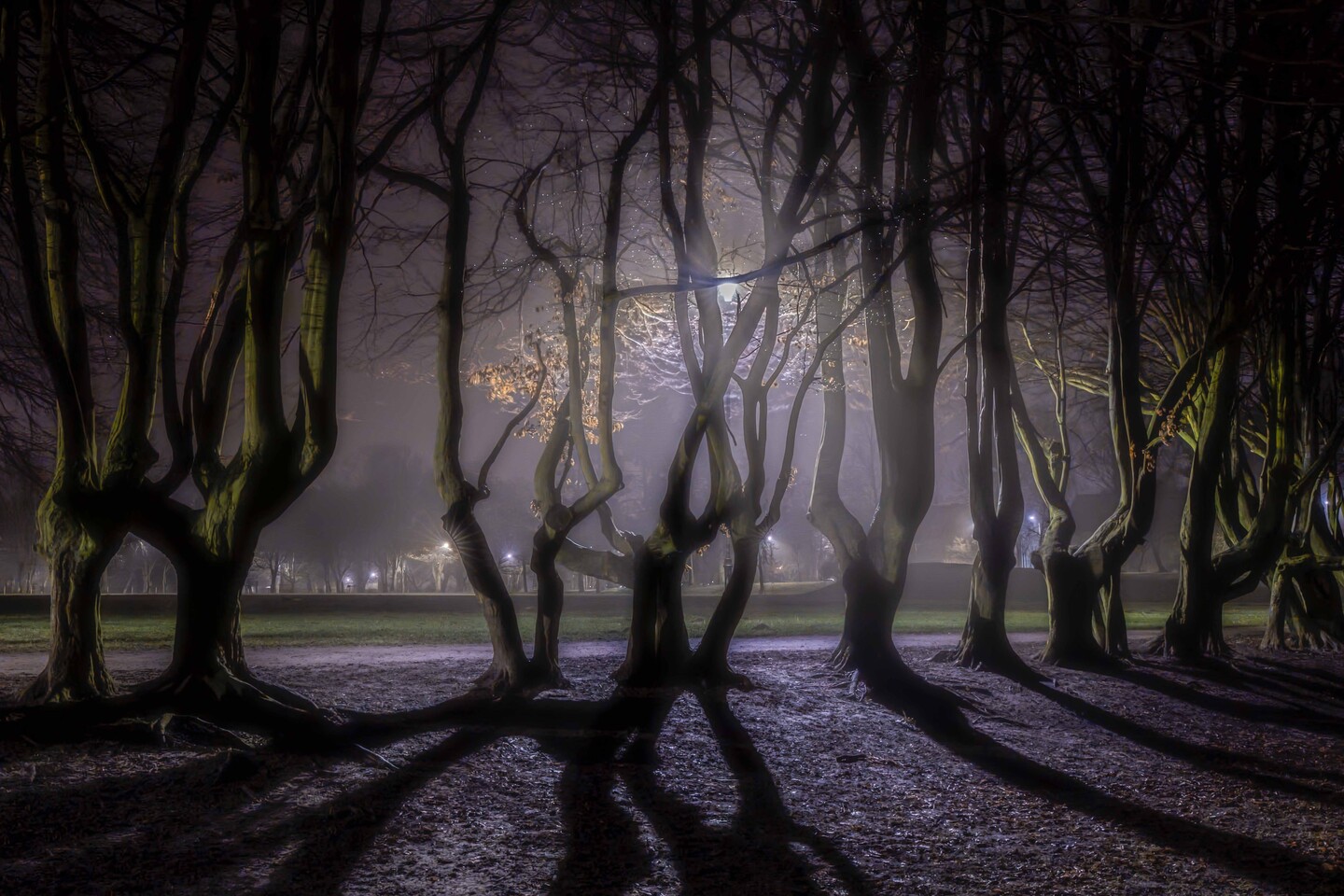 W parku zapomnianych prawd