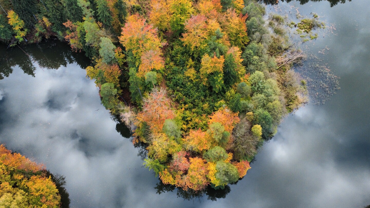 Między niebem a jesienią