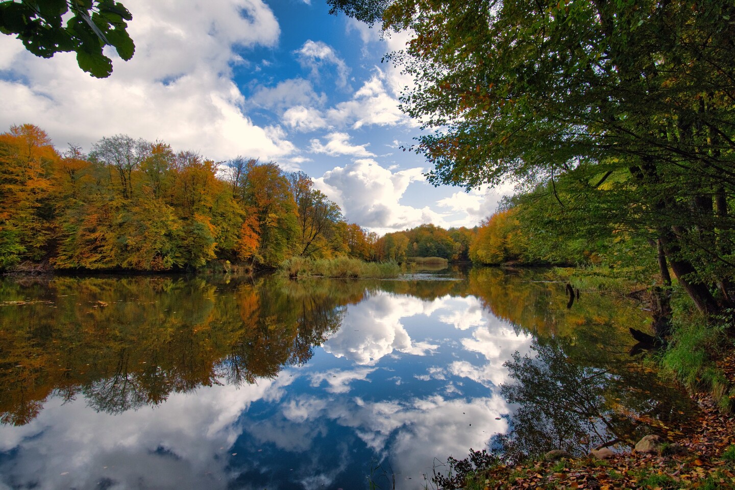 Zwierciadło jesieni