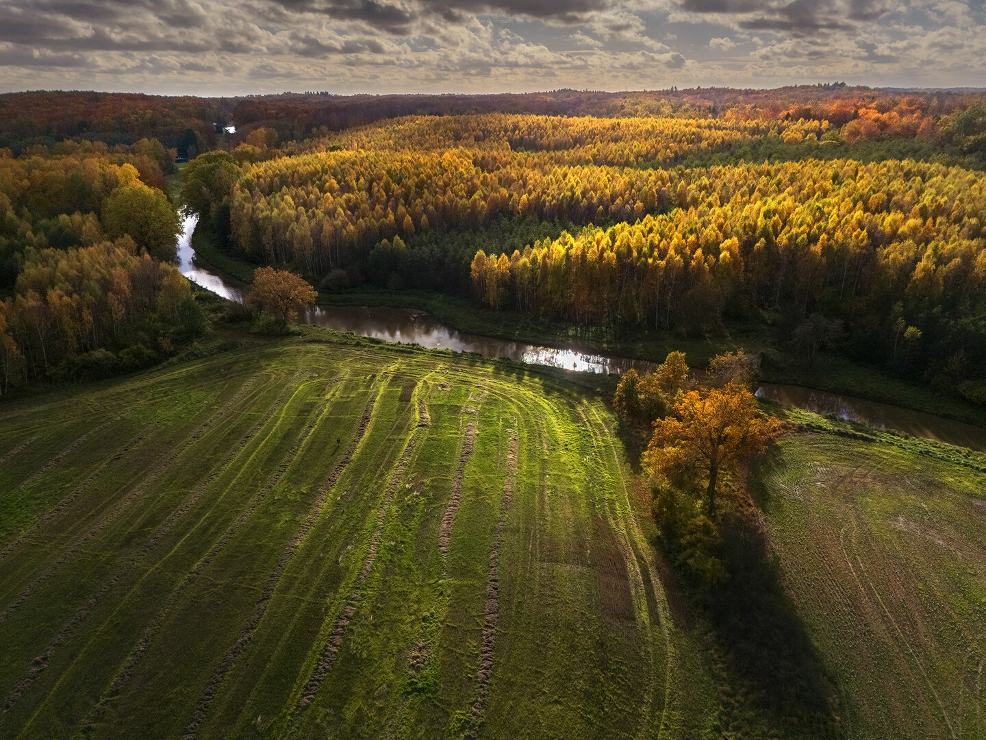 Jesienny kanał w okolicach Buczyńca