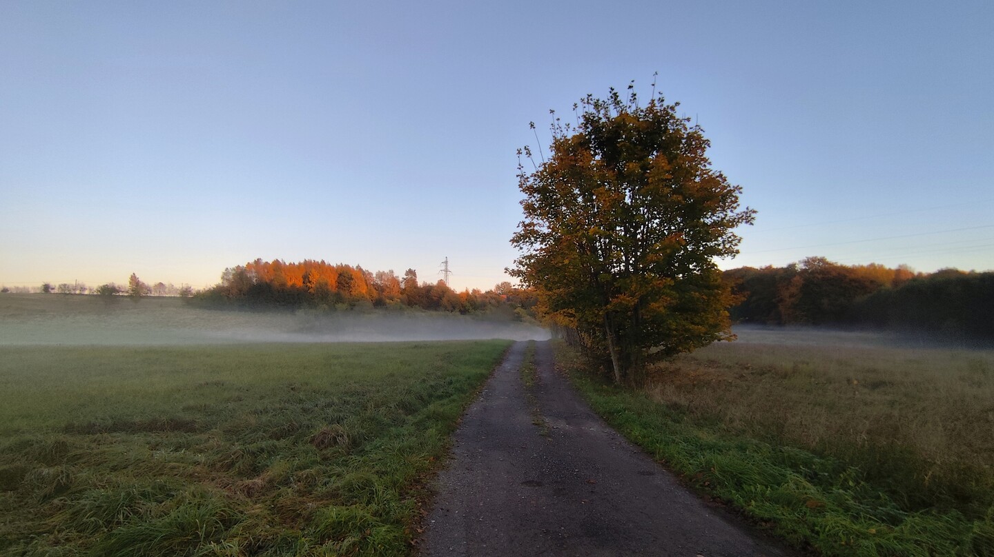 Kiedy mgła okrywa do snu