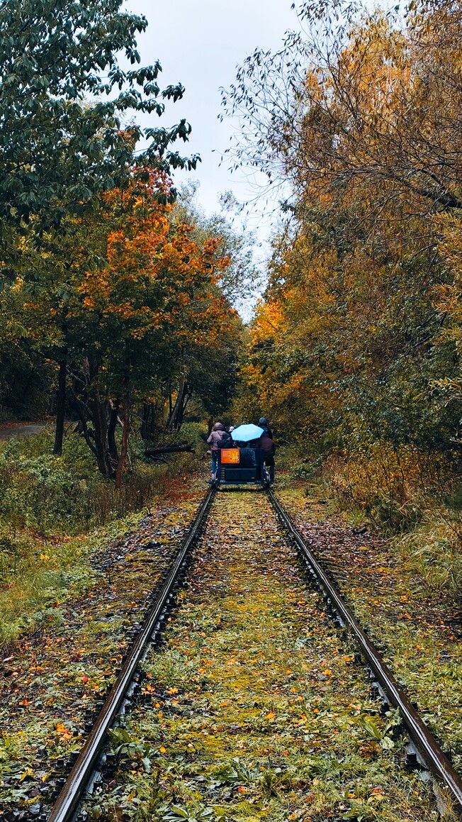 W drodze po złota jesień