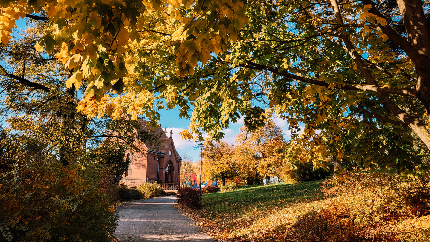 Kolory końca października