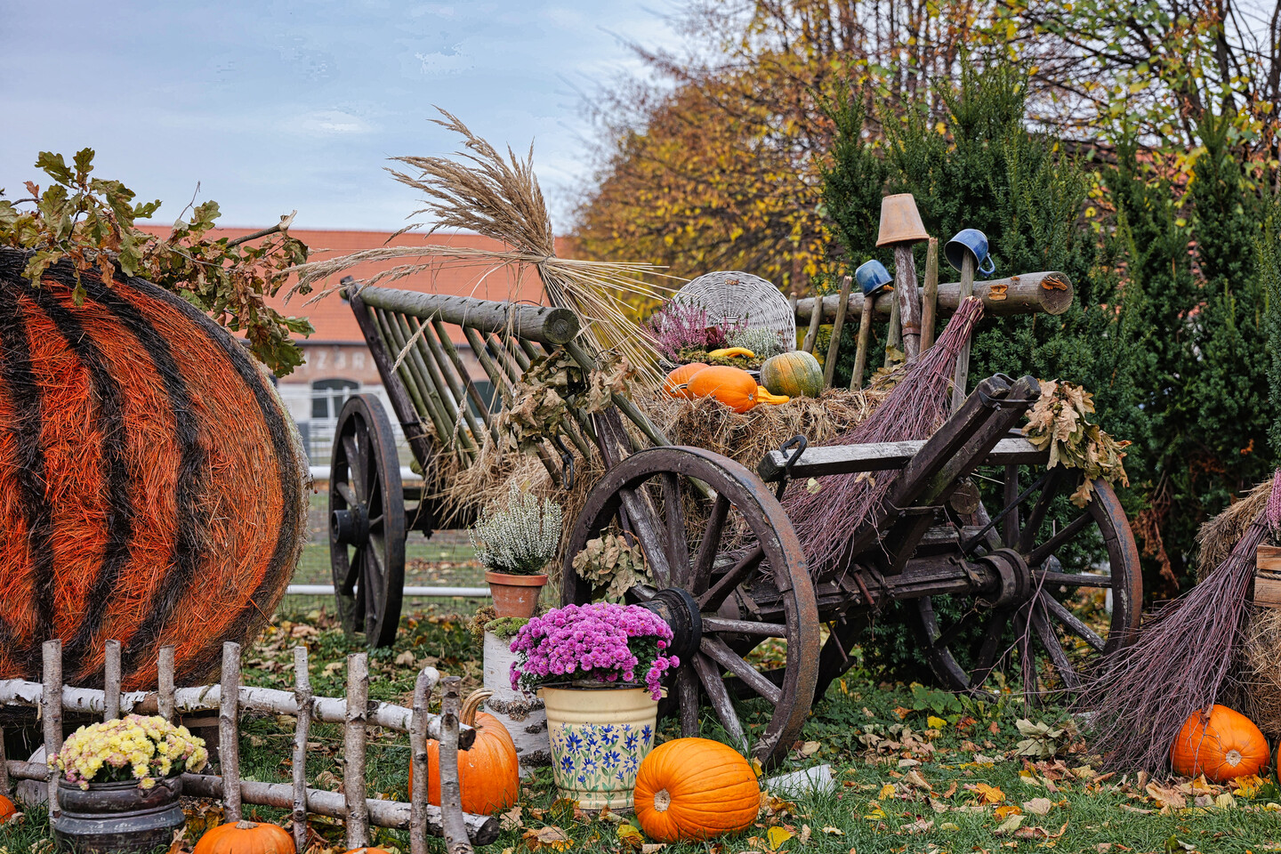 Taki tam klimacik :)