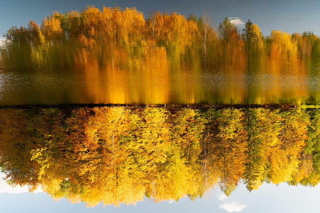 Odwrócone lustro jesieni