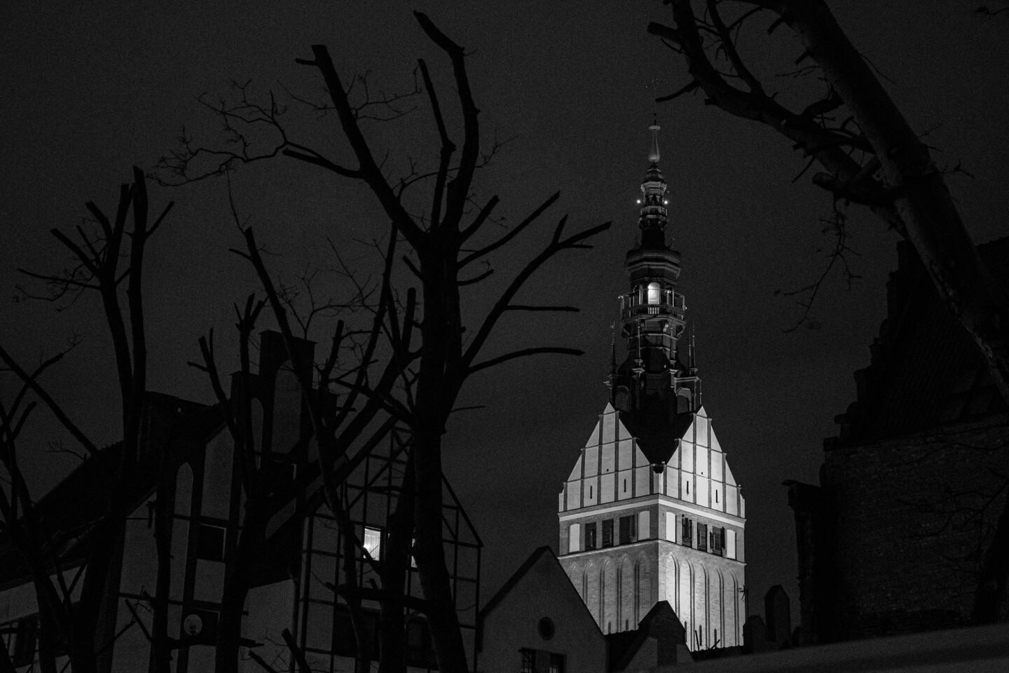 Jedenasty - Liść opadł.