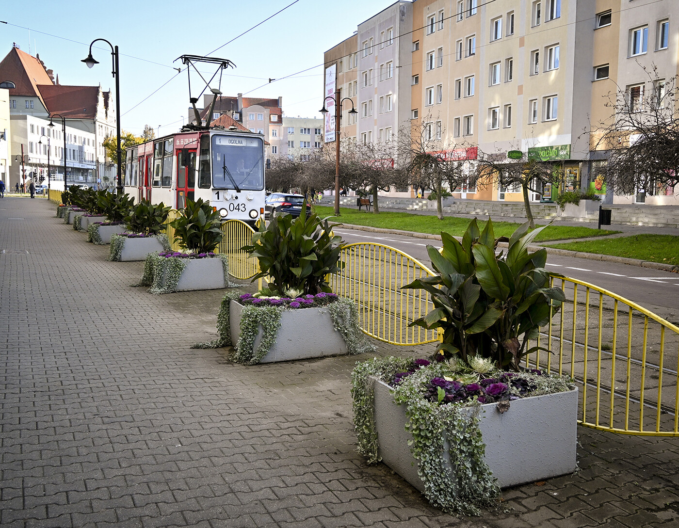 Gdzie tramwaj spotyka zieleń