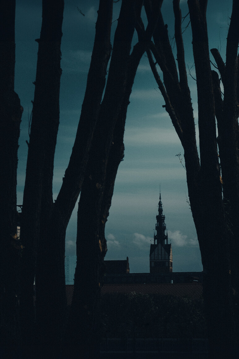 Katedra na uboczu dnia