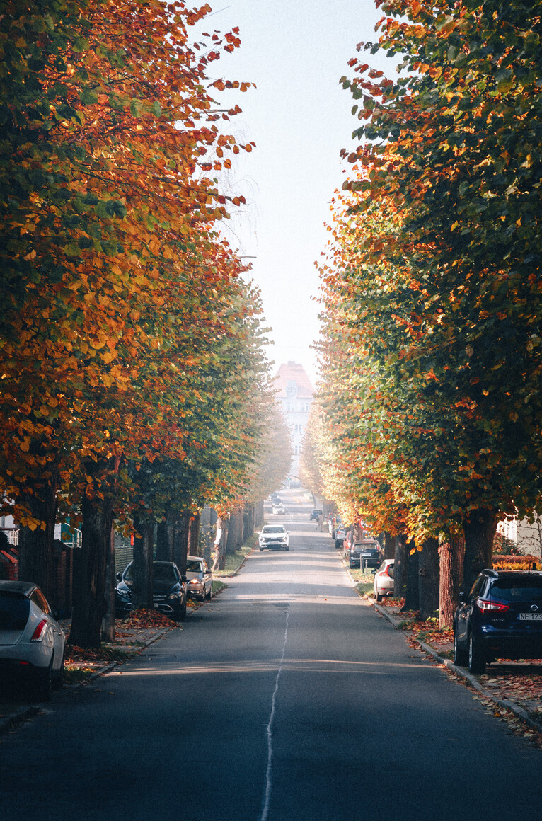 Ulica, którą chcesz przejechać jeszcze raz.