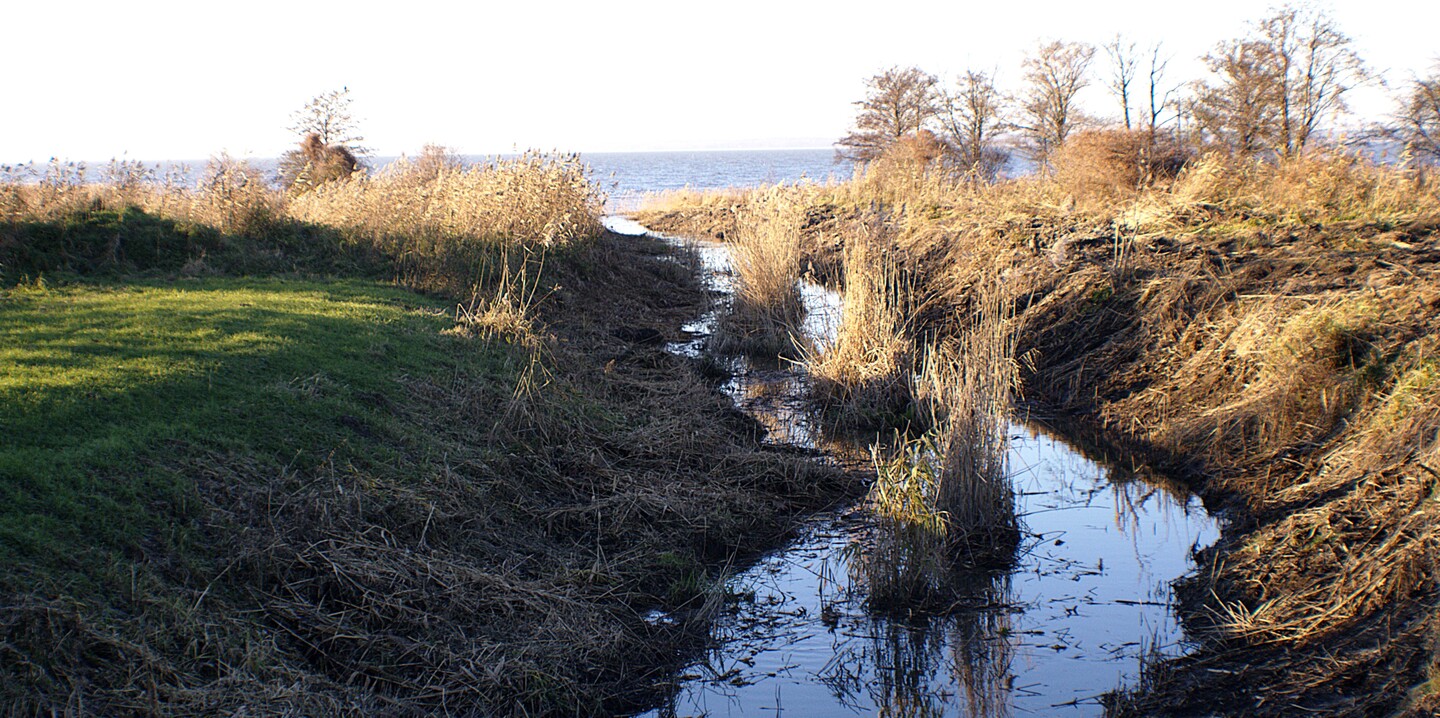 Nad Zalewem Wiślanym.