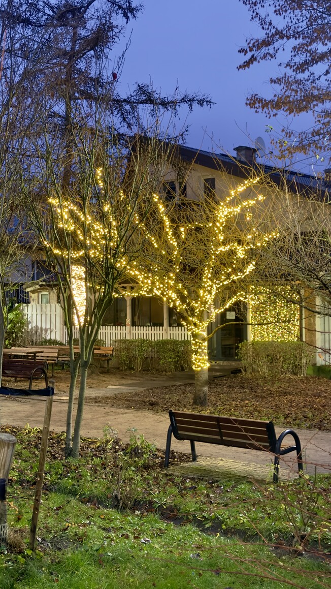 Świąteczny klimat w parku